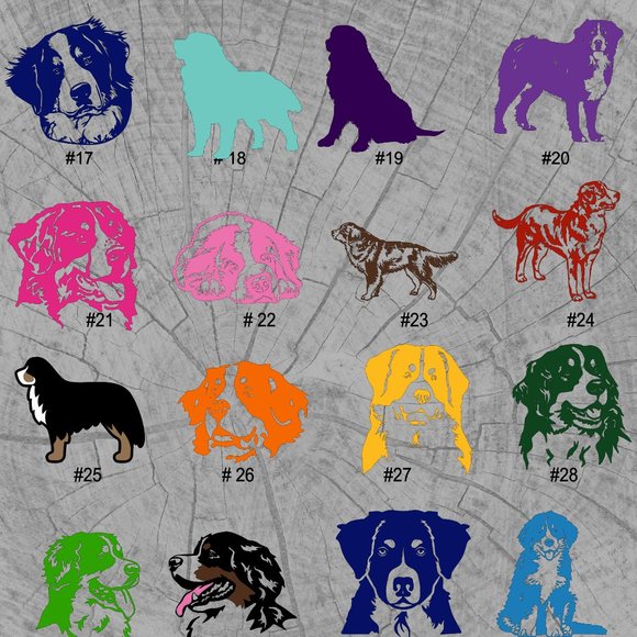 BERNESE MOUNTAIN DOG VINYL DECAL - 5-6" - Picture 1 of 6
